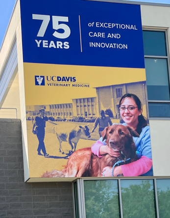 75th anniversary banner on building