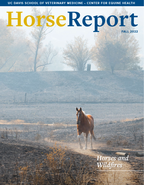 cover of horse report newsletter