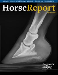cover of Horse Report newsletter