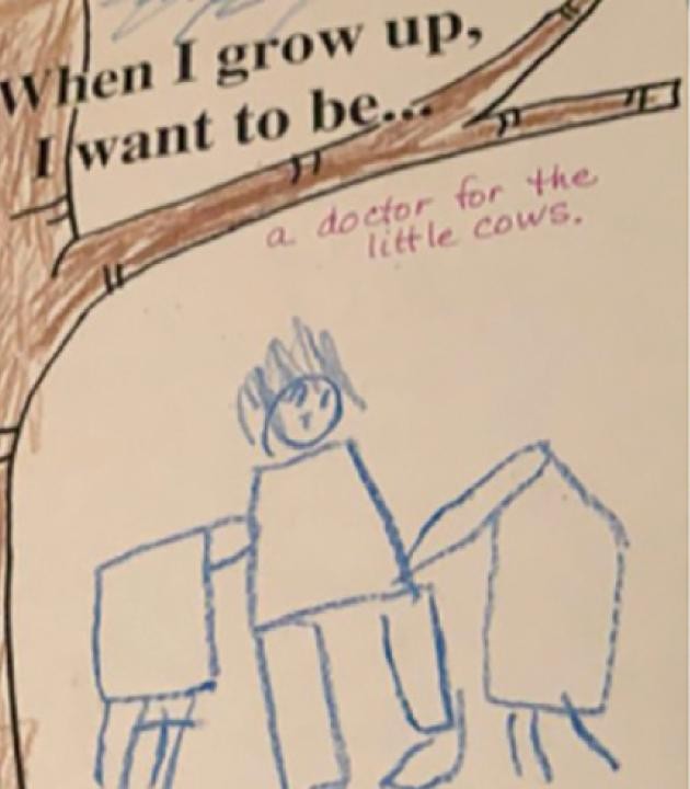children's drawing of veterinarian caring for cows